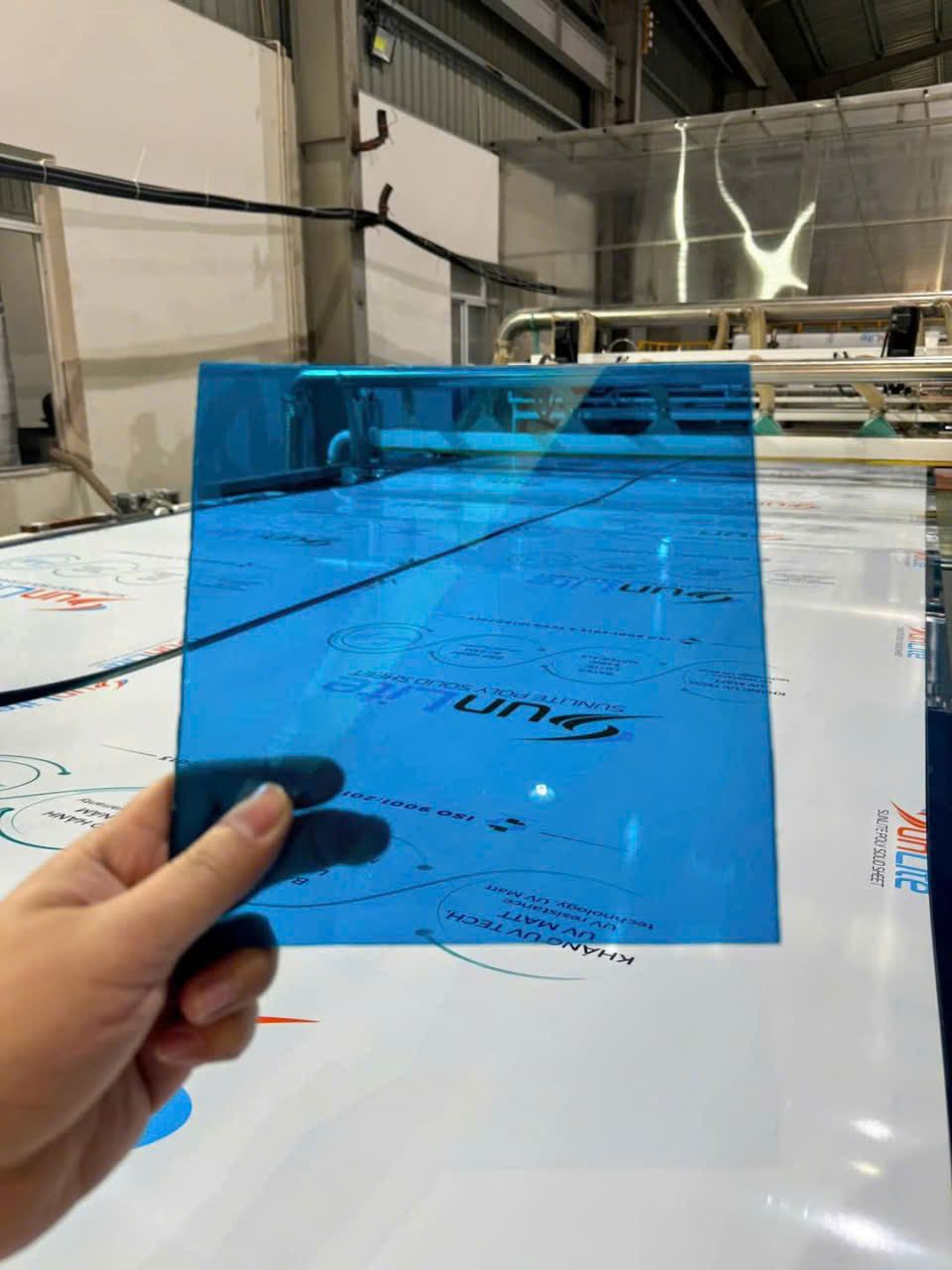 Poly Sunlite 3 ly xanh hồ